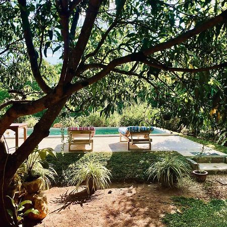 Shan Mango Homestay Sigiriya Ngoại thất bức ảnh