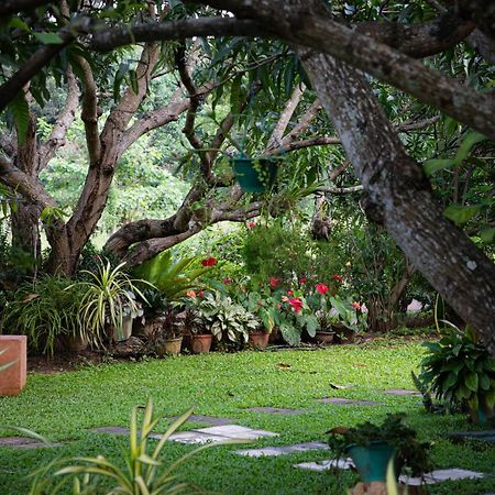 Shan Mango Homestay Sigiriya Ngoại thất bức ảnh