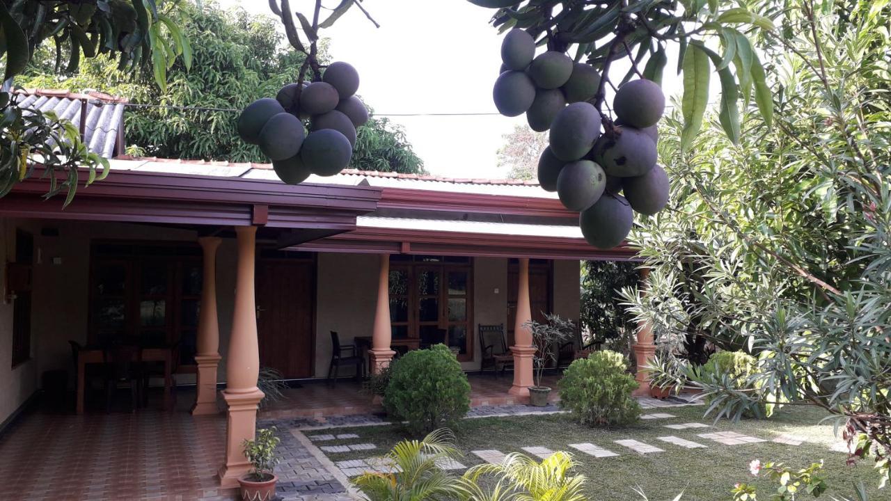 Shan Mango Homestay Sigiriya Ngoại thất bức ảnh
