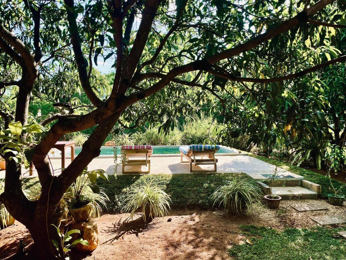 Shan Mango Homestay Sigiriya Ngoại thất bức ảnh