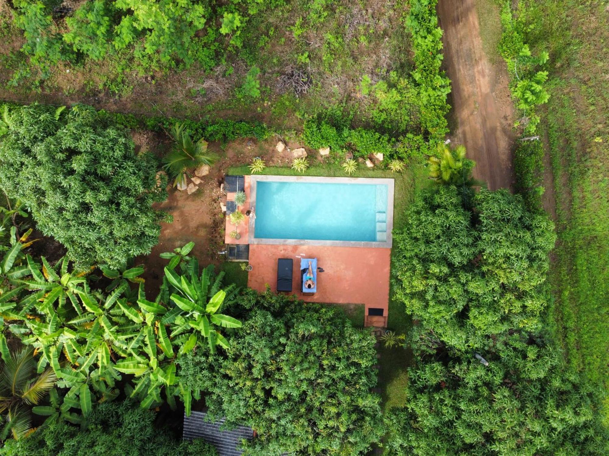 Shan Mango Homestay Sigiriya Ngoại thất bức ảnh