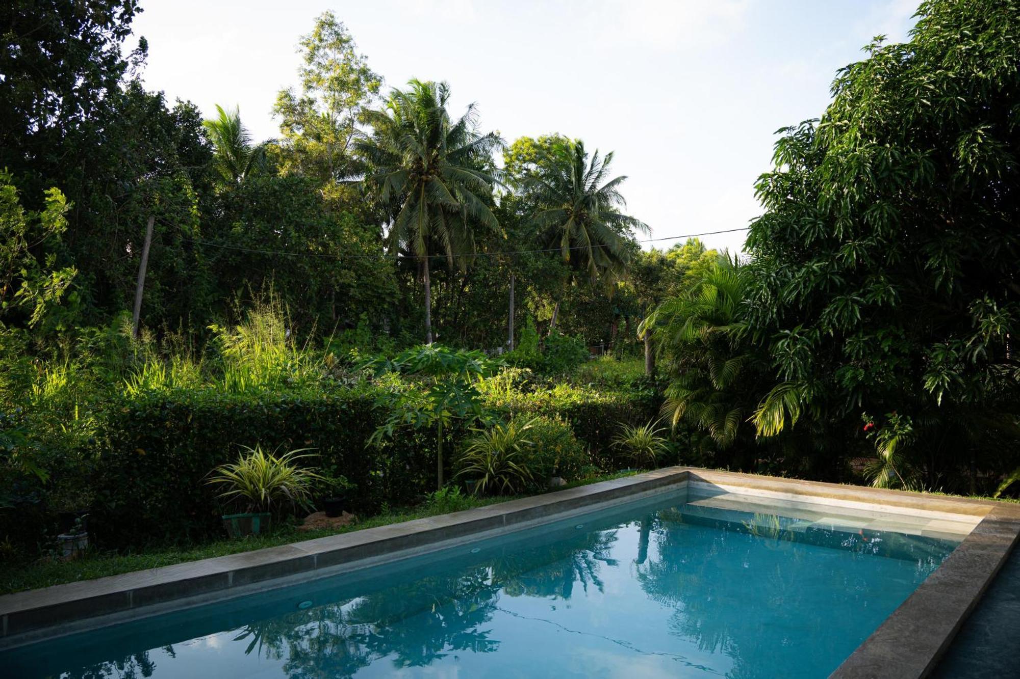 Shan Mango Homestay Sigiriya Ngoại thất bức ảnh