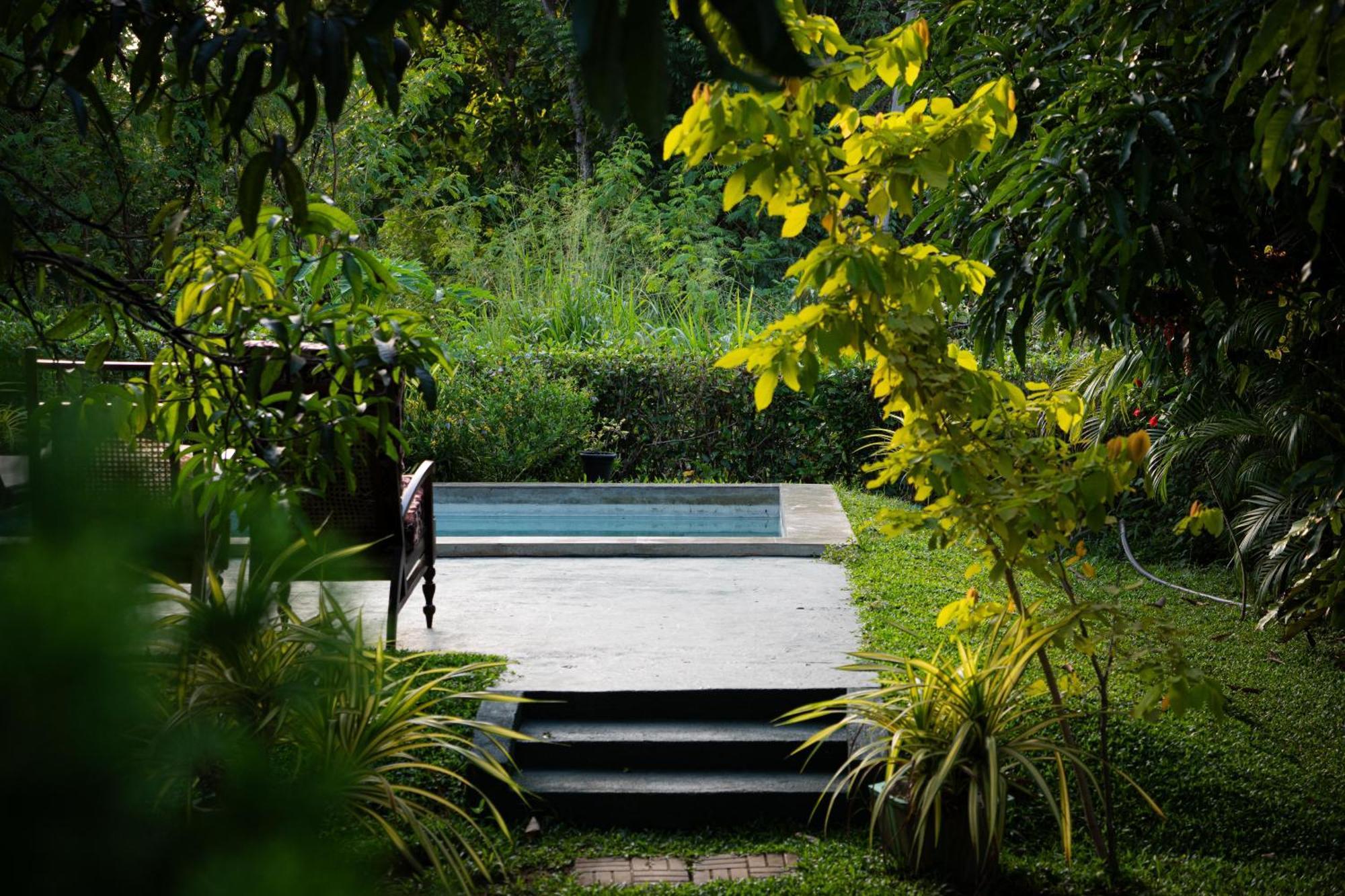 Shan Mango Homestay Sigiriya Ngoại thất bức ảnh