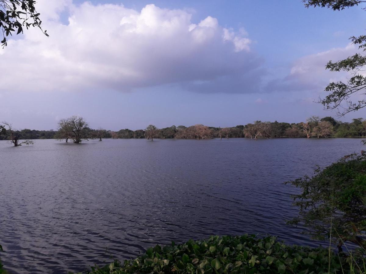 Shan Mango Homestay Sigiriya Ngoại thất bức ảnh